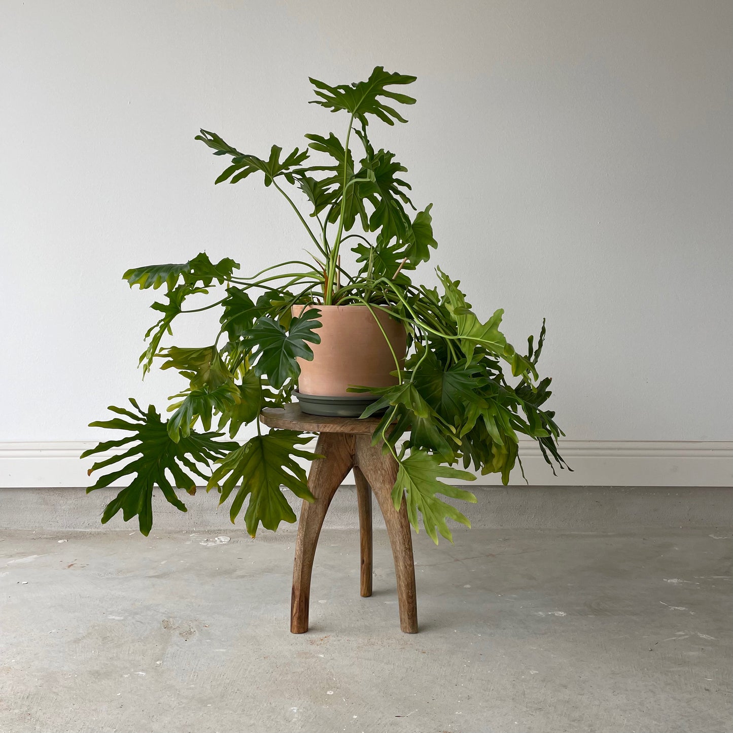 Wooden Three Legs End Table x1