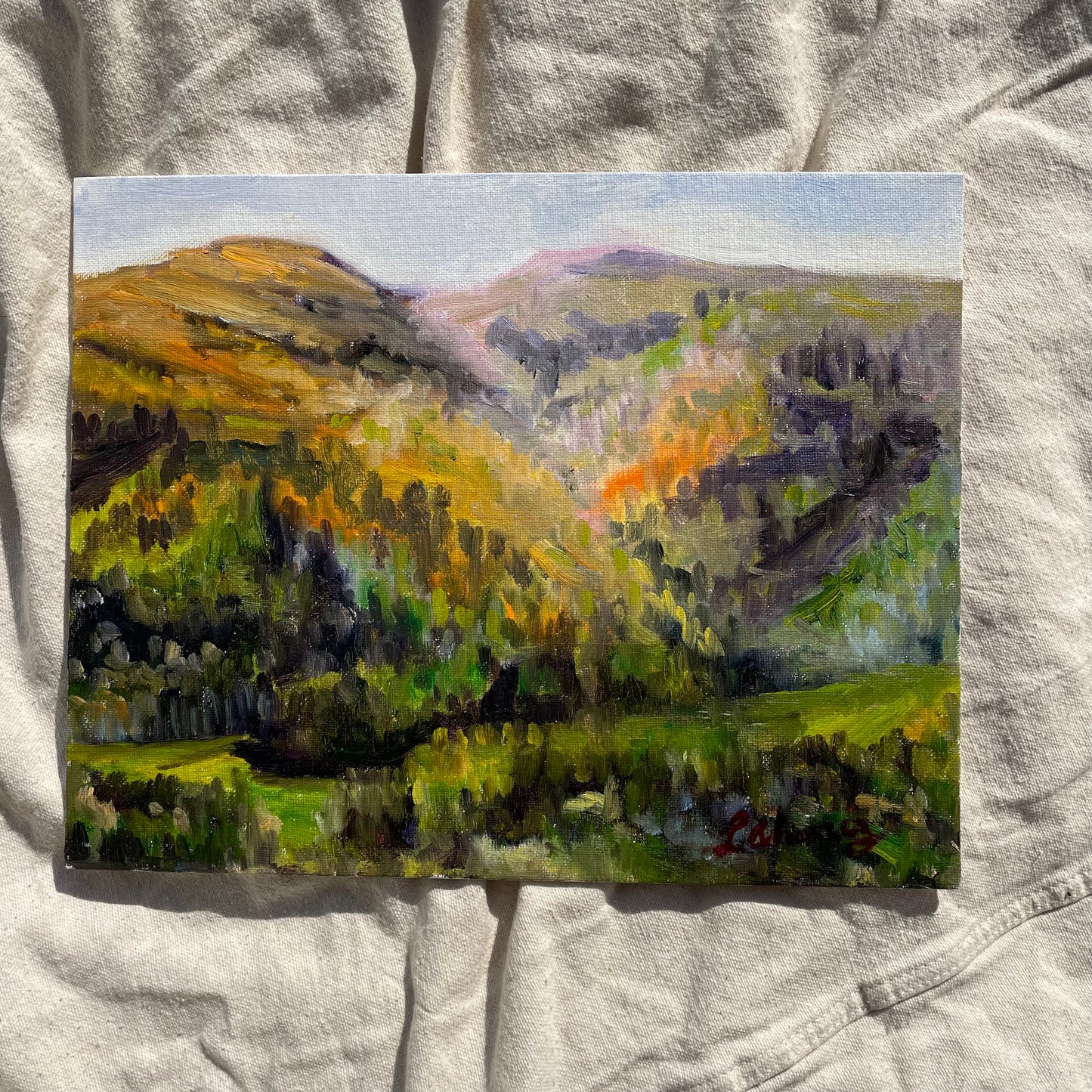 Scenic Landscape: Hills, Valleys, Mountains, Original Artwork, Signed