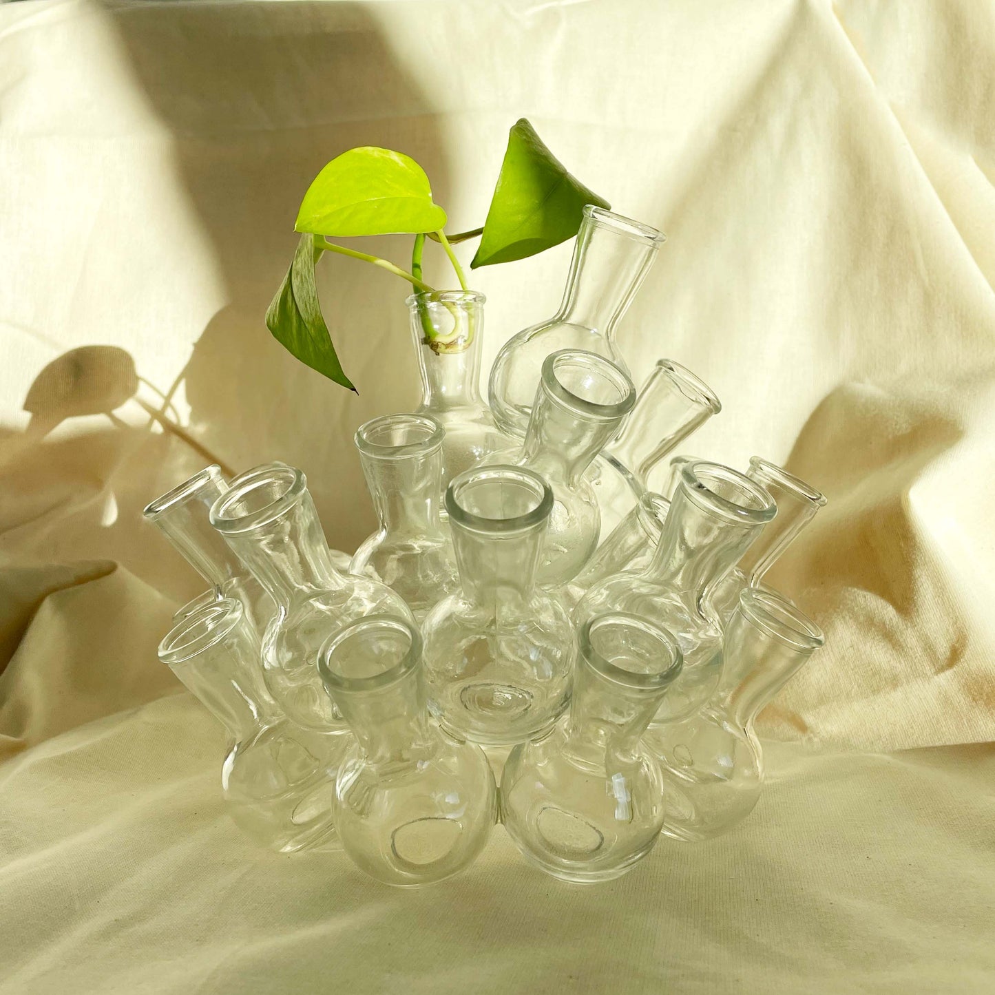 Vintage 2 Piece Clustered Glass Frog Propagation Vase